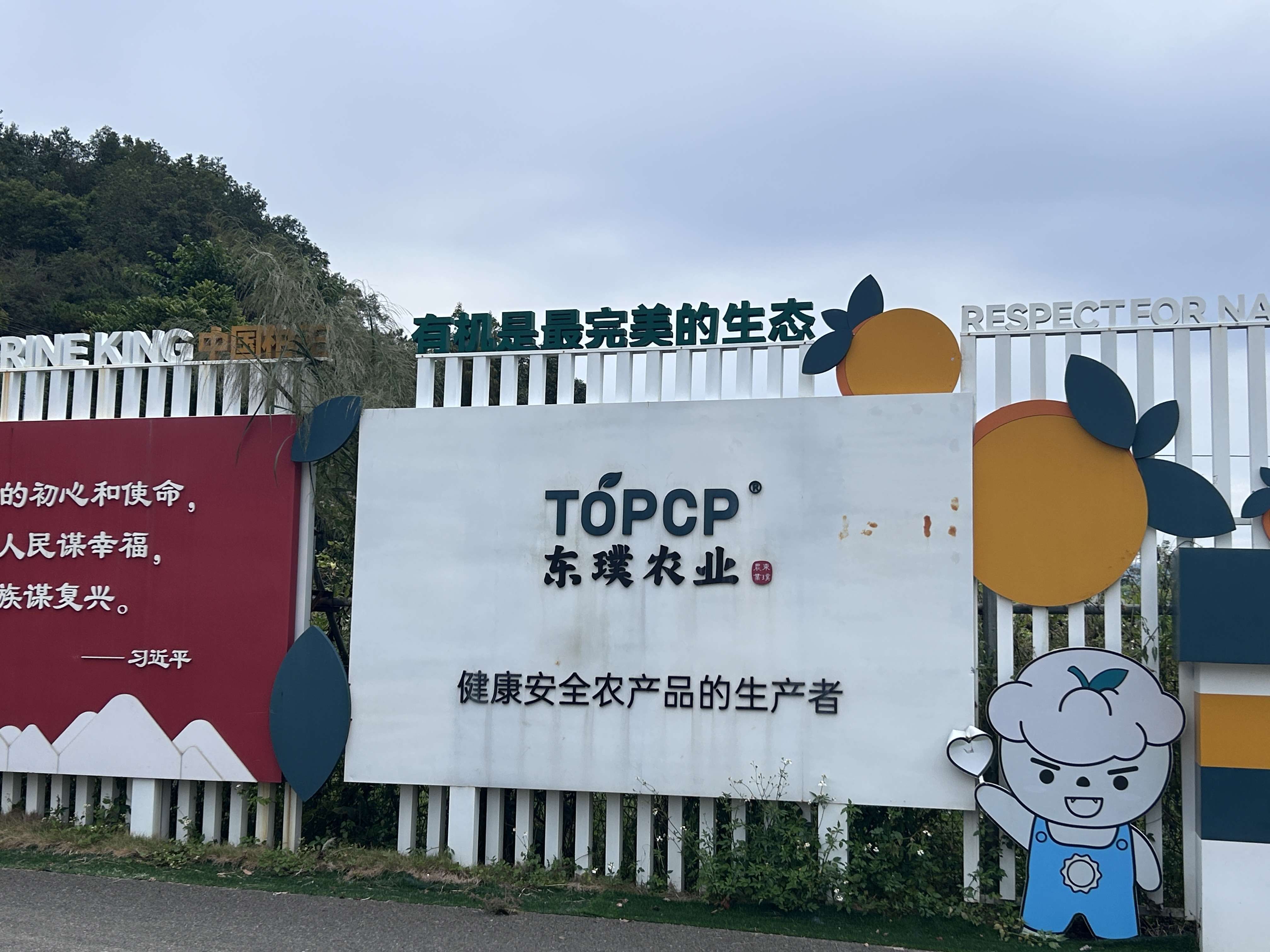 德庆东璞农业有机贡柑调研